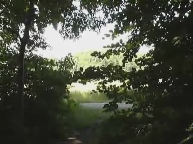 ?key=03731ee66481c6e70563bd71e50d108dbfc94b572918047430f4fd1f2b82c3a1-aHR0cHM6Ly93d3cueHBlZS5jb20vY29udGVudHMvdmlkZW9zX3NjcmVlbnNob3RzLzIwMDAvMjMxMC9wcmV2aWV3LmpwZw%3D%3D